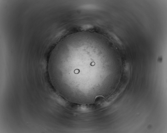 X0000101480565200807141417