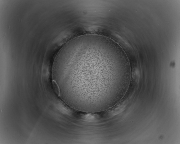 X0000101480566200807141417