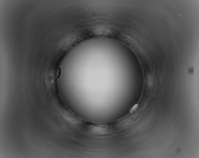 X0000101480567200807141417