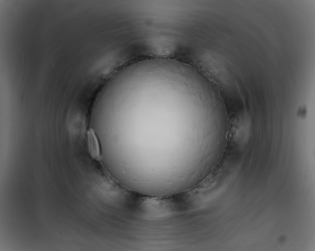 X0000101480568200807141417