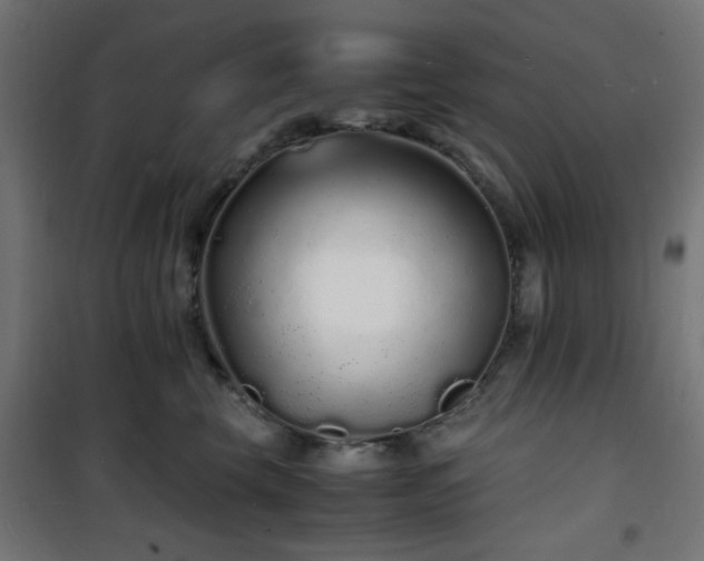 X0000101480569200807141417