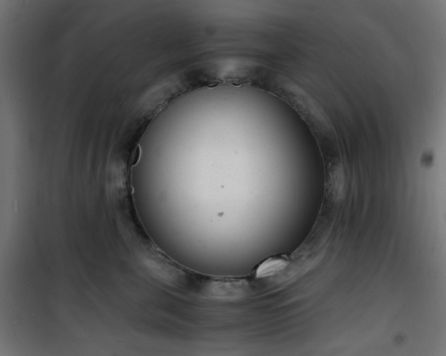 X0000101480571200807141417