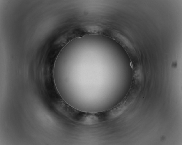 X0000101480572200807141417