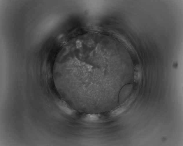 X0000101480573200807141417