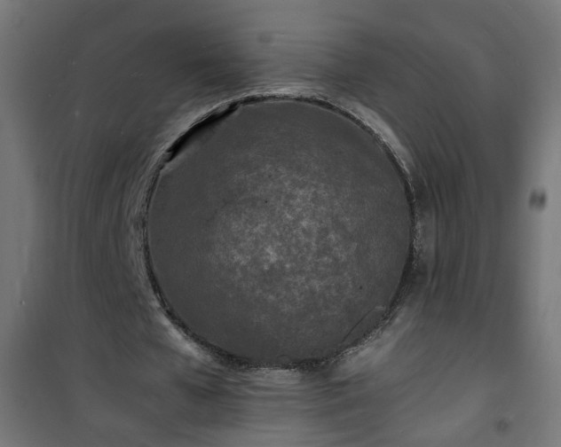 X0000101480577200807141417