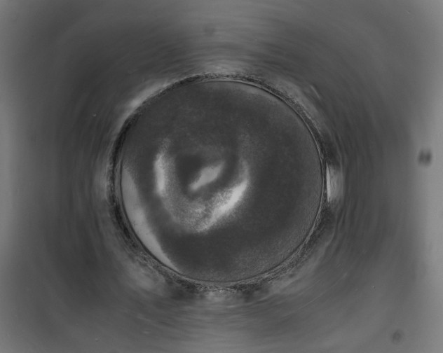 X0000101480579200807141417