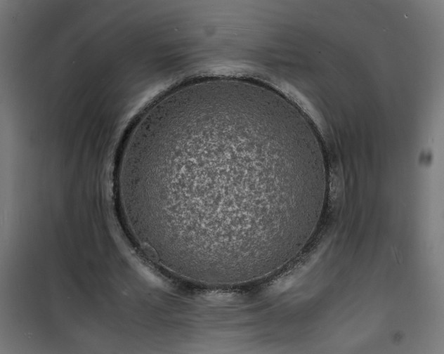 X0000101480581200807141417