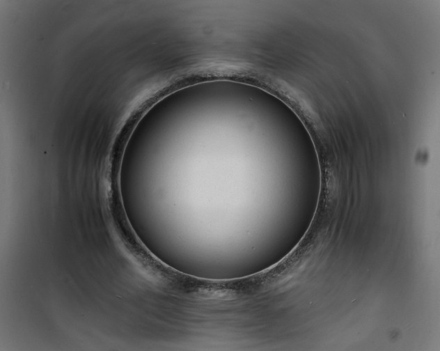 X0000101480582200807141417