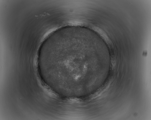 X0000101480583200807141417