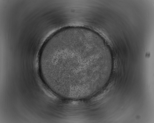 X0000101480584200807141417