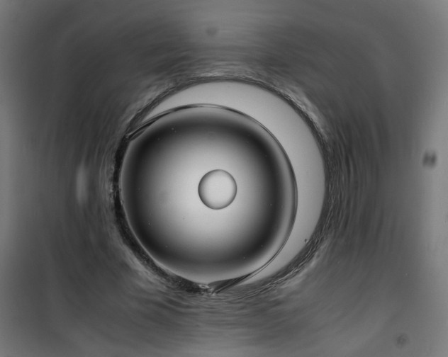 X0000101480585200807141417