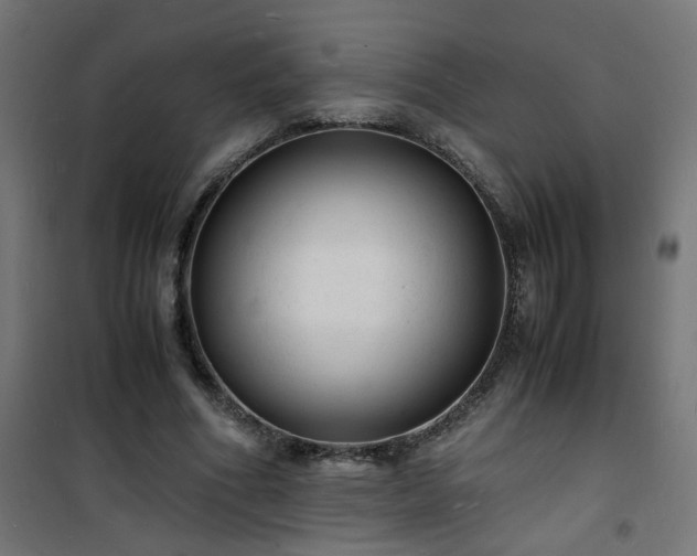 X0000101480586200807141417