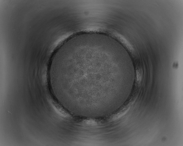 X0000101480588200807141417