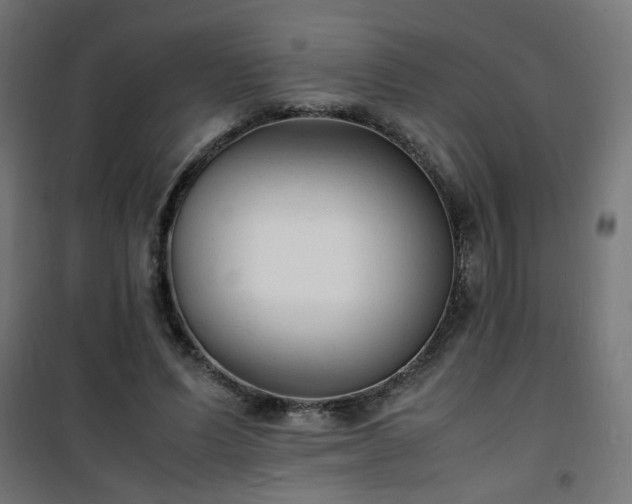 X0000101480591200807141416