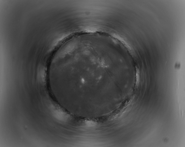 X0000101480592200807141416