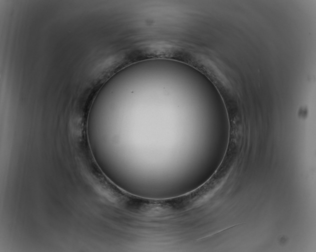 X0000101480597200807141416