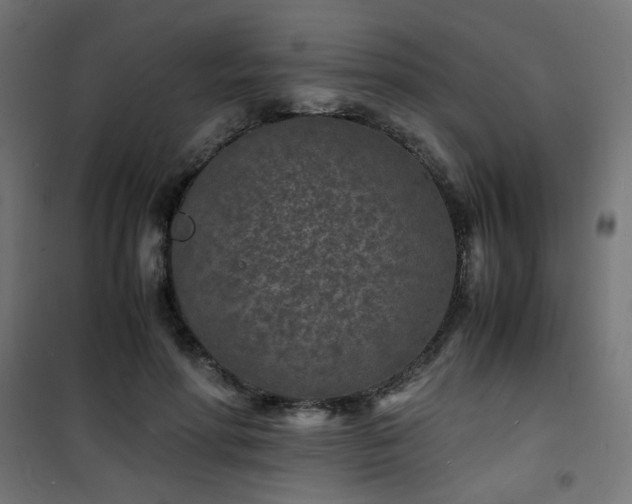 X0000101480598200807141416