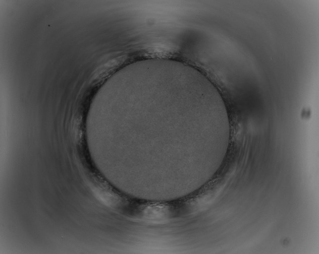 X0000101480599200807141416