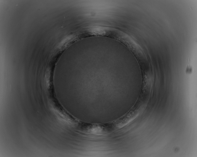 X0000101480600200807141416