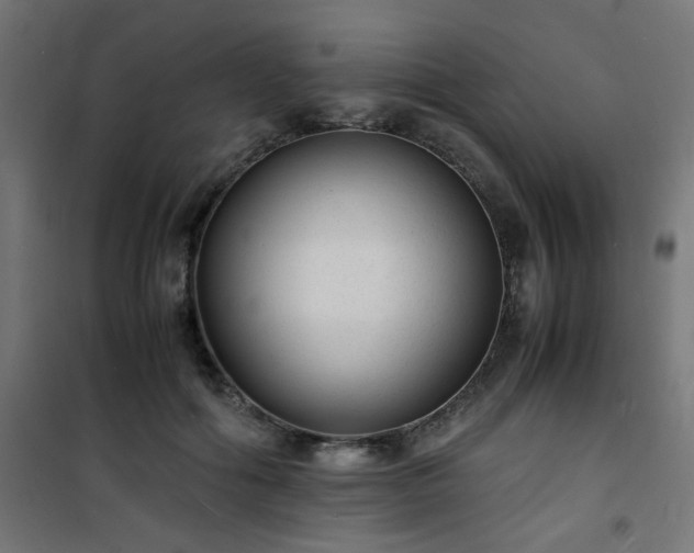 X0000101480602200807141416