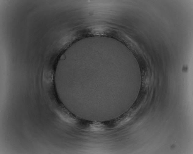 X0000101480603200807141416