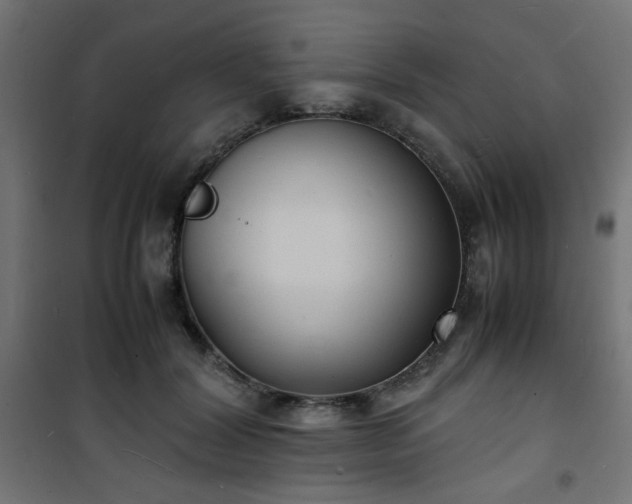 X0000101480604200807141416