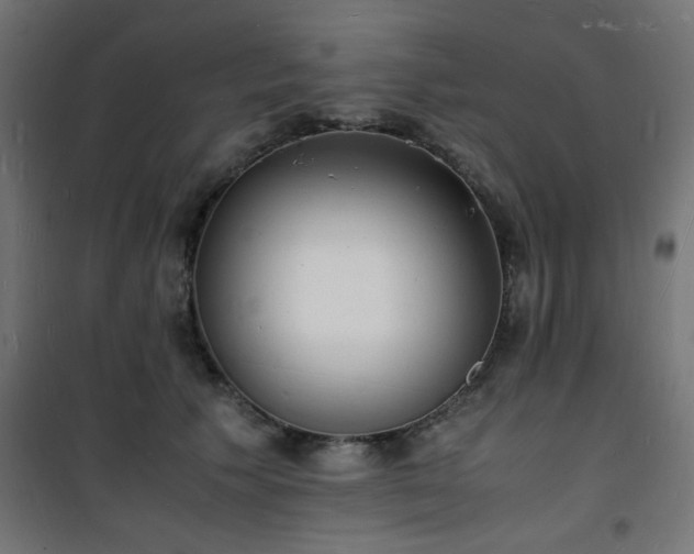 X0000101480609200807141416