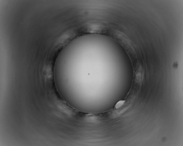 X0000101480620200807141416