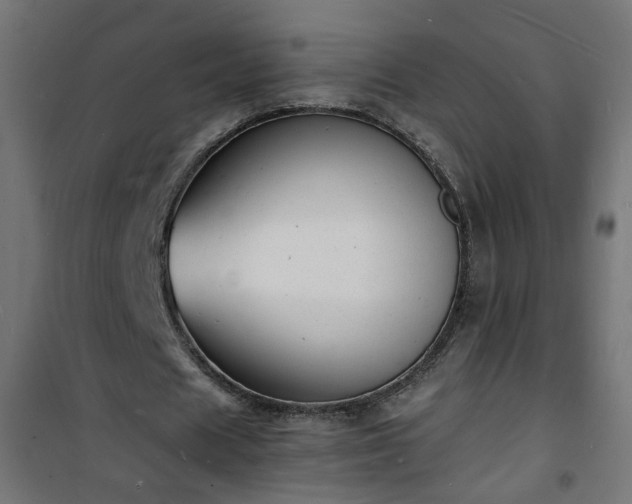 X0000101480625200807141415