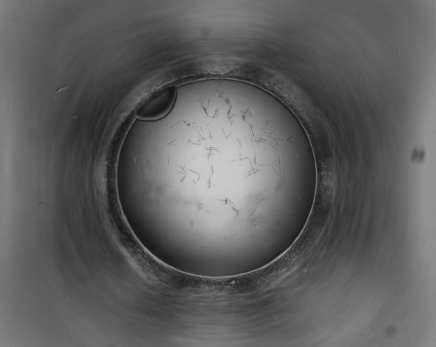 X0000101480626200807141415