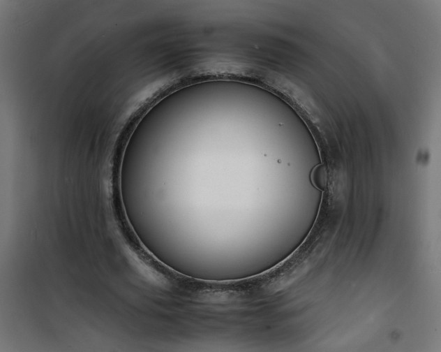 X0000101480629200807141415