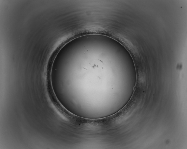 X0000101480630200807141415