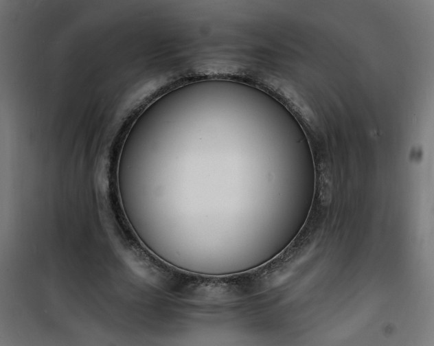X0000101480631200807141415