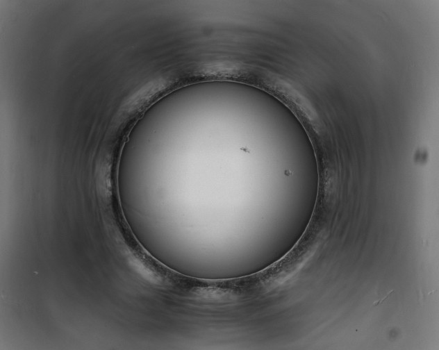 X0000101480633200807141415