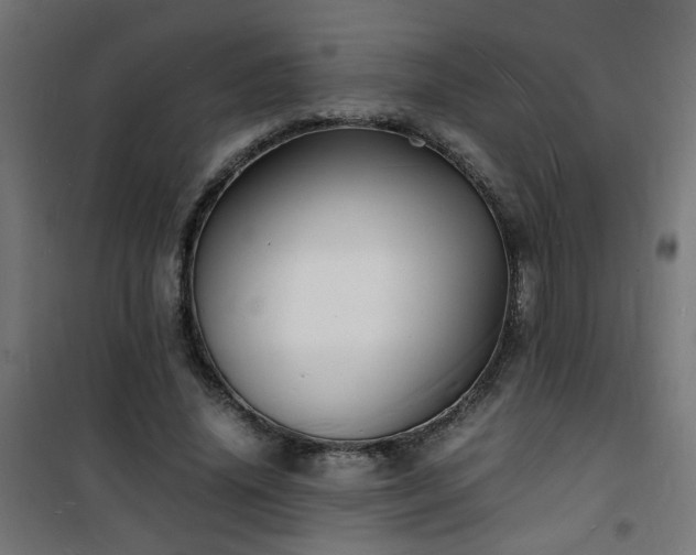 X0000101480636200807141415