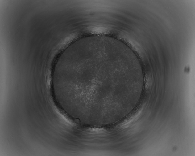 X0000101480637200807141415