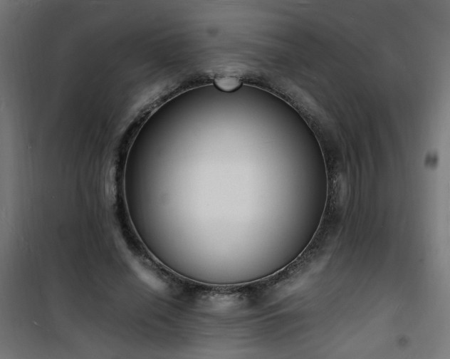 X0000101480638200807141415