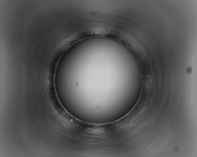 X0000101480639200807141415