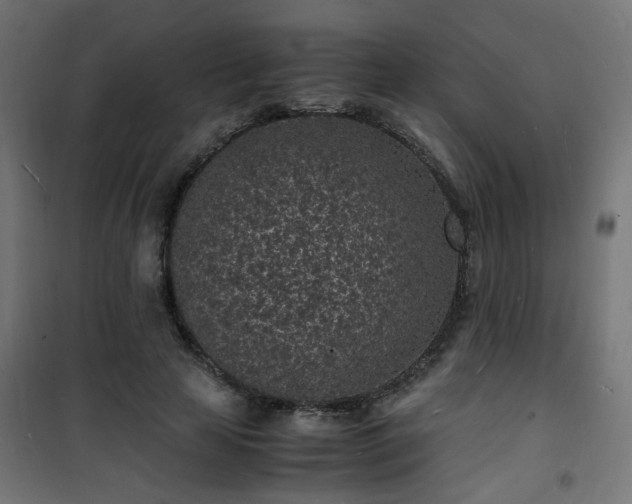 X0000101480641200807141415