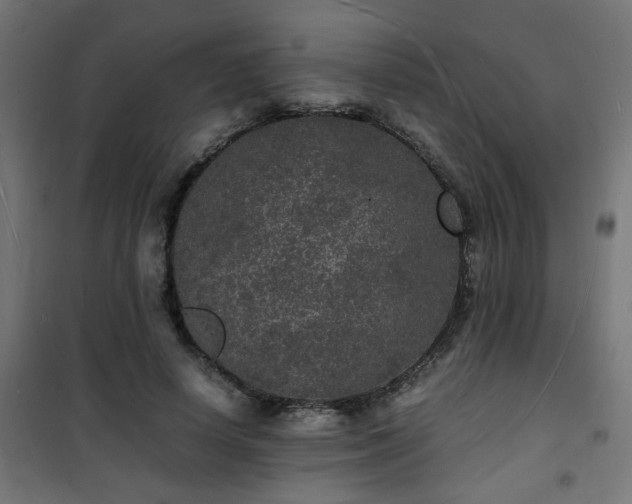 X0000101480642200807141415