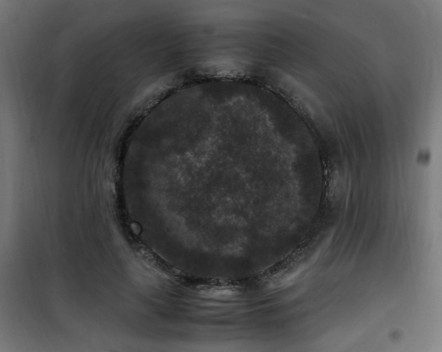 X0000101480643200807141415