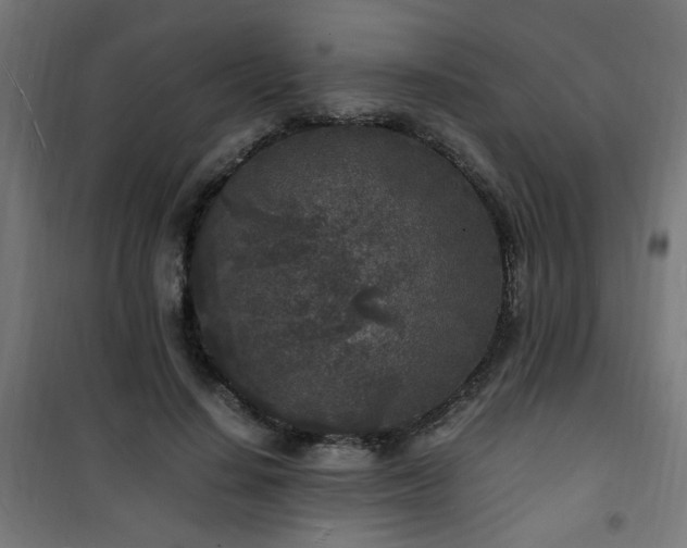 X0000101480644200807141415