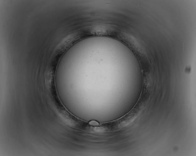 X0000101480645200807141415