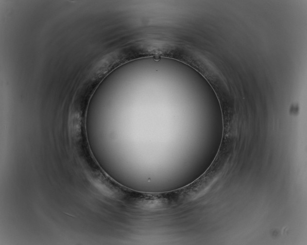 X0000101480646200807141415