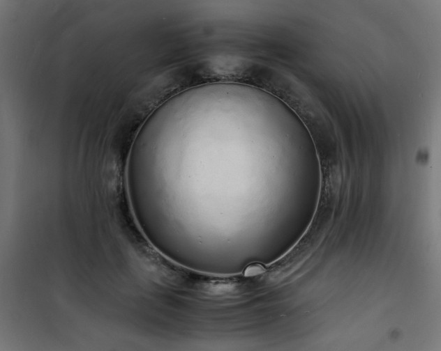 X0000101480651200807141416