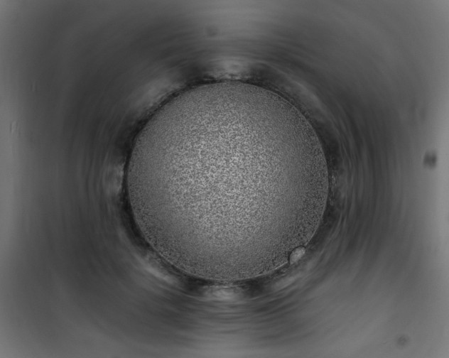 X0000101480652200807141416