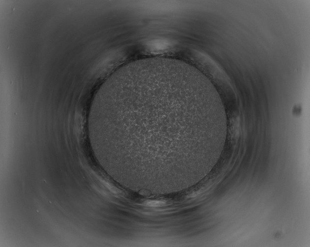 X0000101480653200807141416