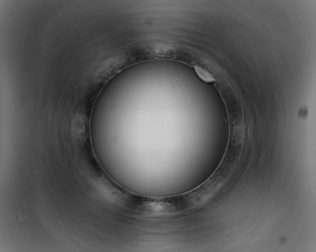 X0000101480654200807141416