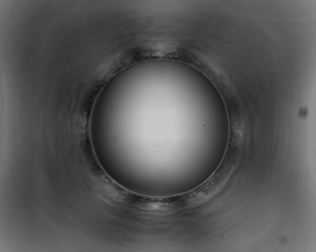 X0000101480657200807141416