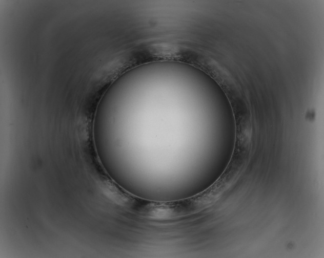 X0000101480658200807141416